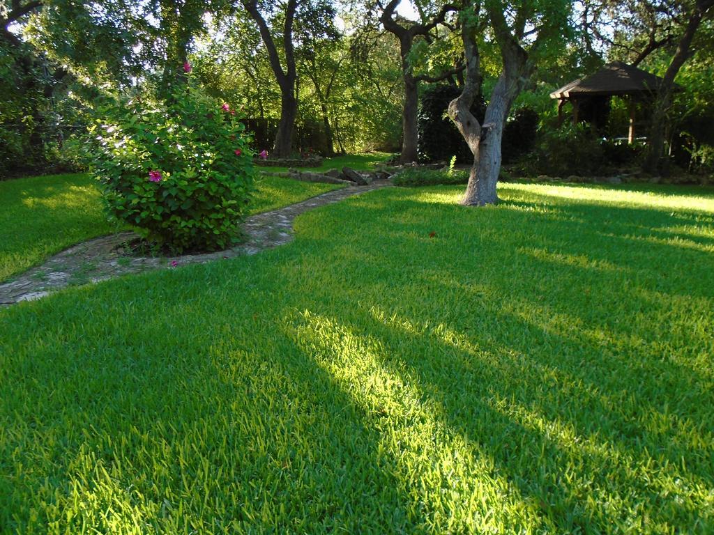 Acorn Bed And Breakfast Boerne Exterior foto